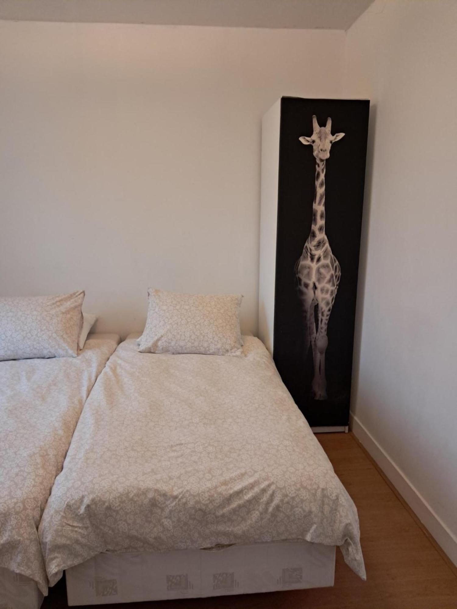 El Sol Zandvoort Kamer foto